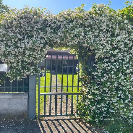 Garda Art&garden